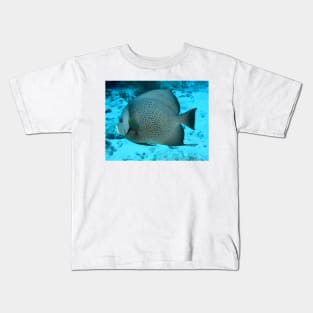 Grey Angelfish Kids T-Shirt